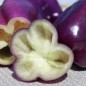 Paprika-Amethyst-50.jpg