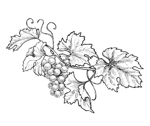 Arkansas 1704 (Pot 2L)