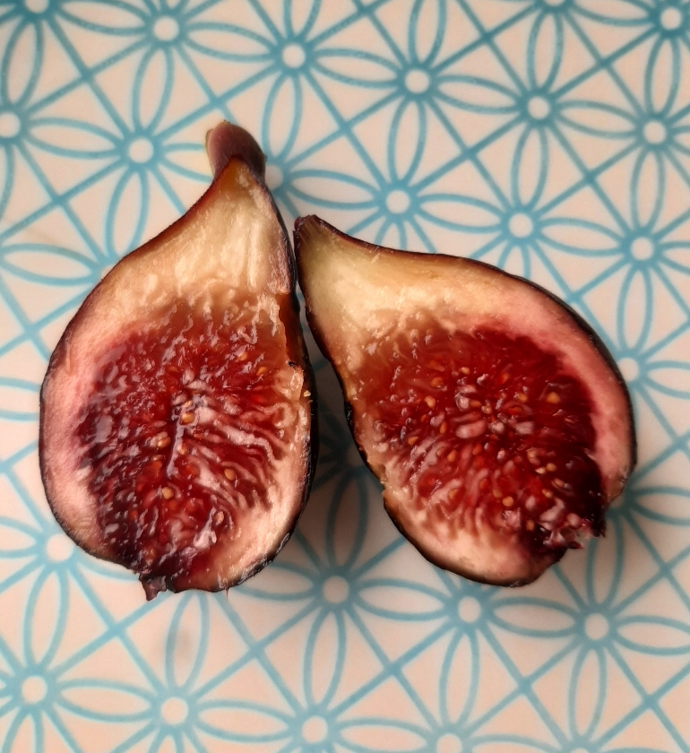 Little Miss Figgy (Pot 2L)