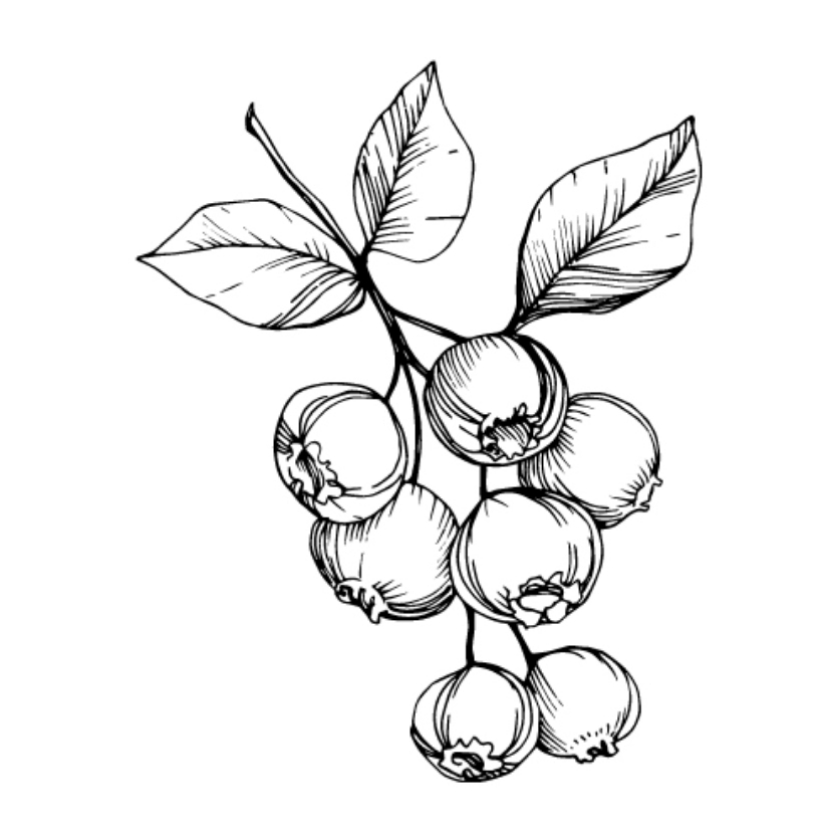 Reka (Pot 1L)