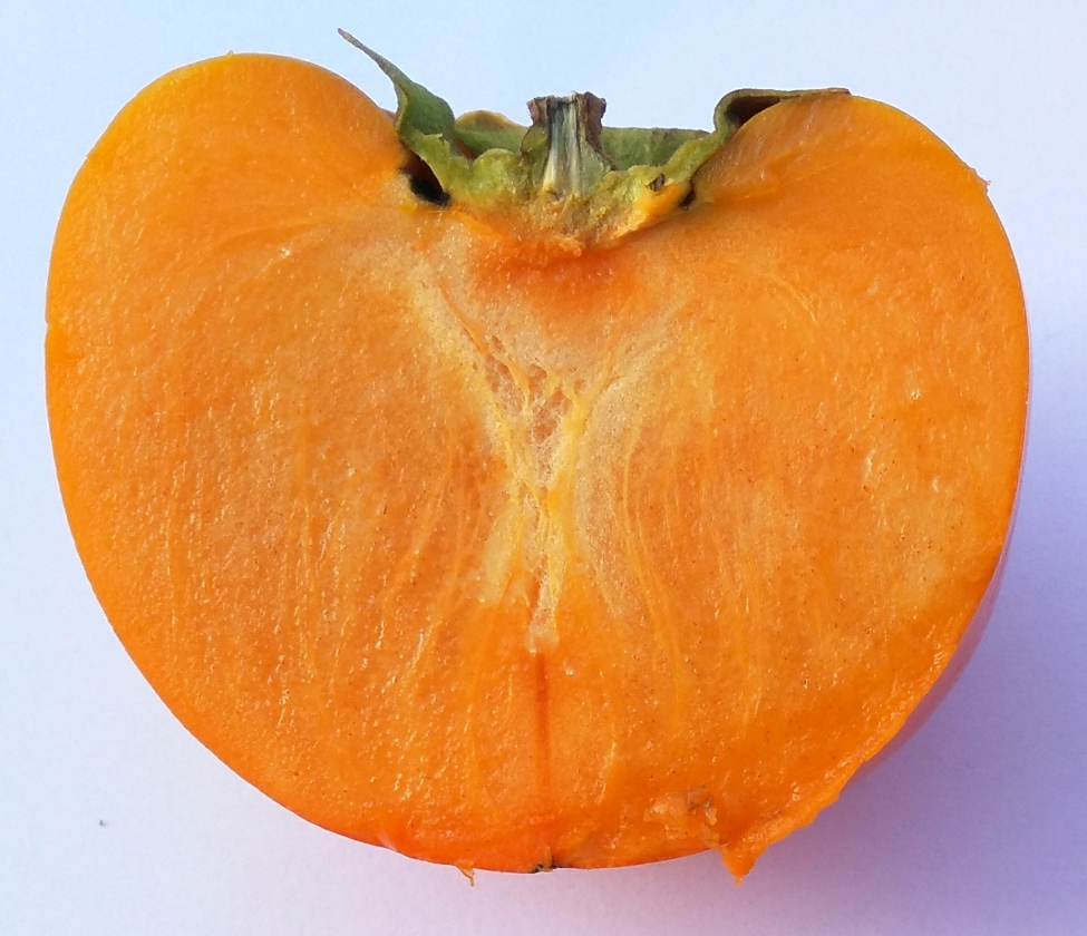 Shinshuu (Pot 2L)