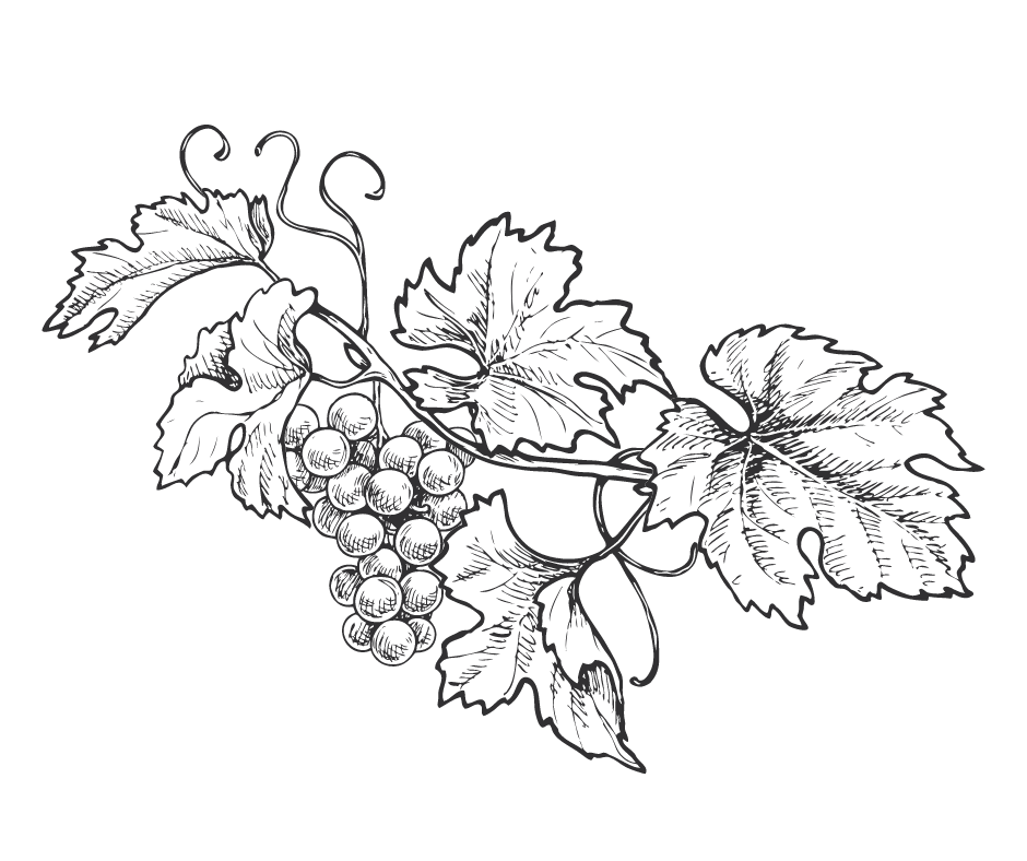 Villard Noir (2L Pot)