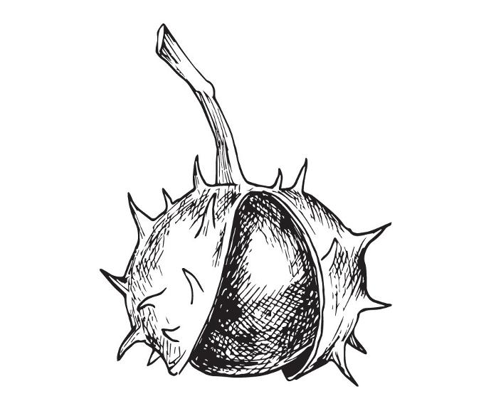 Marigoule (Blote Wortel)