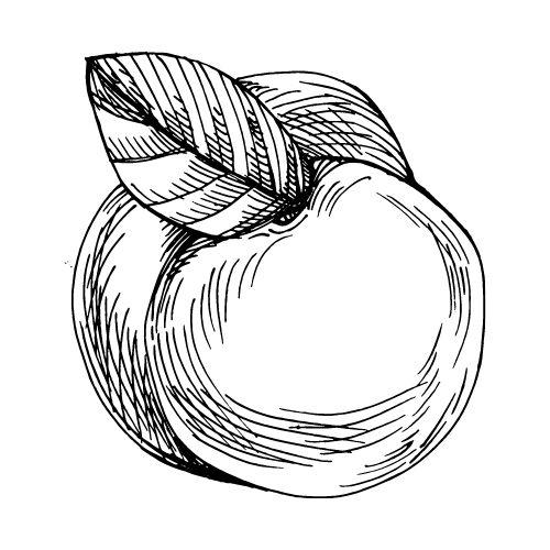 Surpass Amsden (2L Pot)