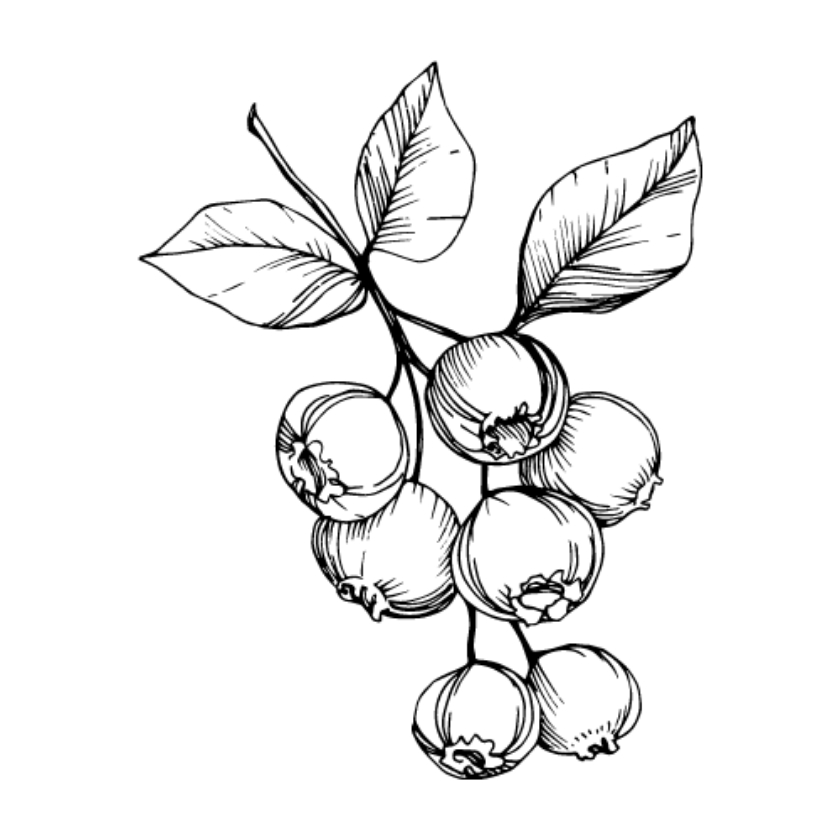 Bonus (Pot 1L)