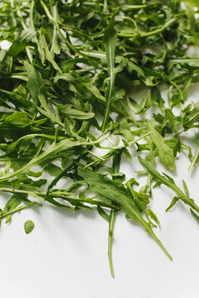 Rucola