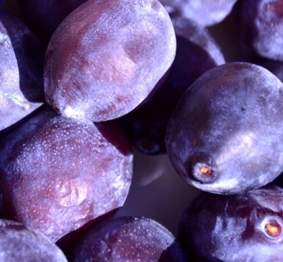 Datil (RN PG Nanifiant)