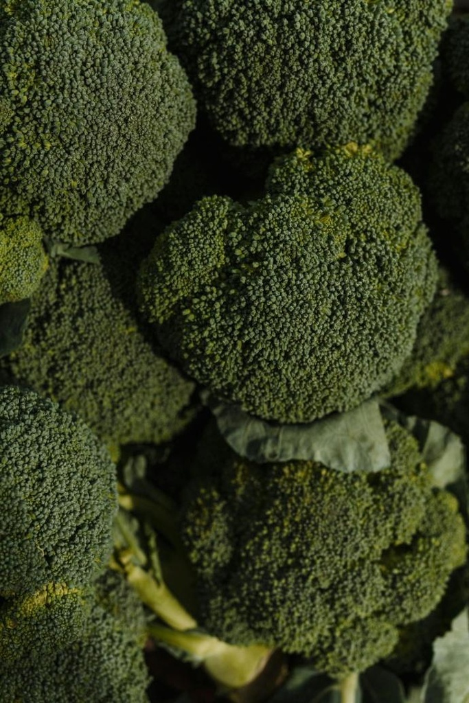 Broccoli