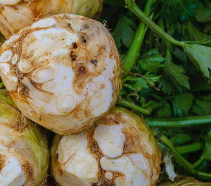 Céleri rave (Pot 1L)