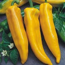 Poivron Jaune Long (Pot 1L)