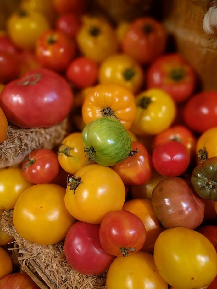 Tomate Mix Variété