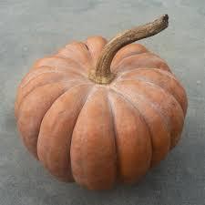 Pompoen Fustu Black