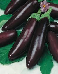 Aubergine Violette de Barbentane
