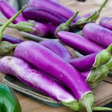 Aubergine Japanese Pickling