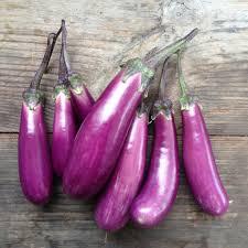 Aubergine Slim Jim (Pot 1L)