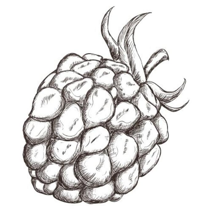 Selena (Pot 1L)