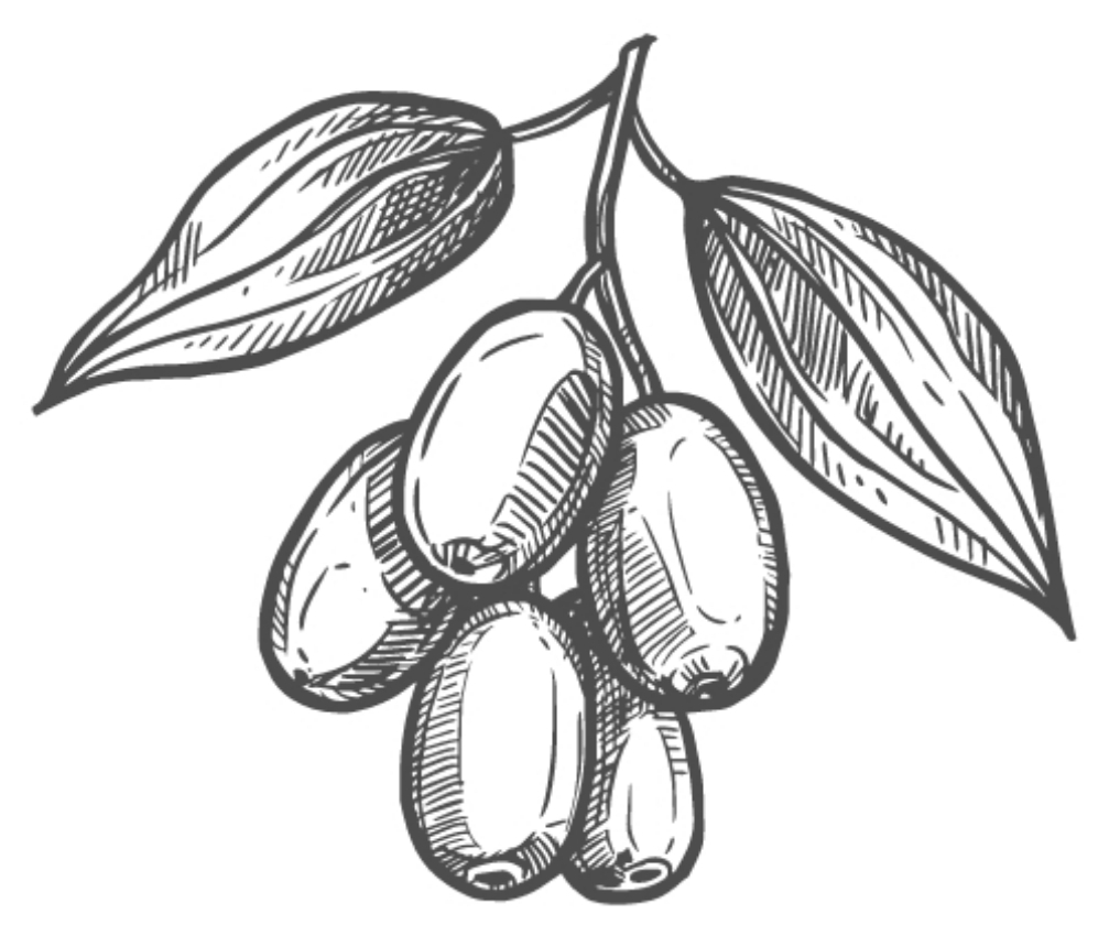 Shanxi Li (Grote Pot)