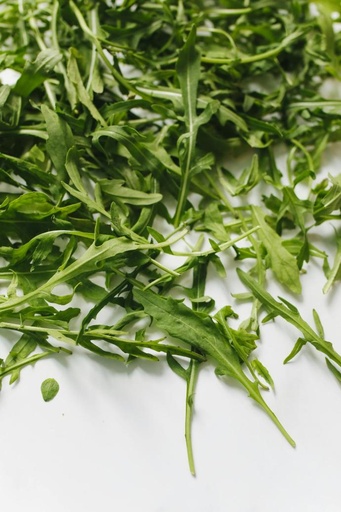 Rucola