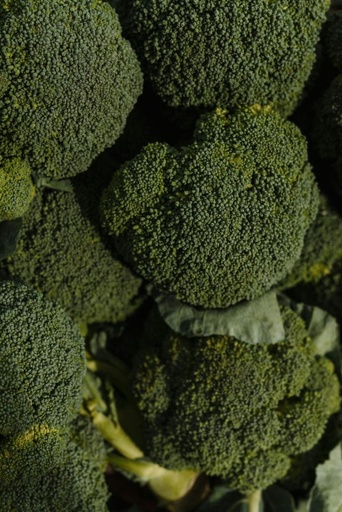 [2200000760300] Brocoli