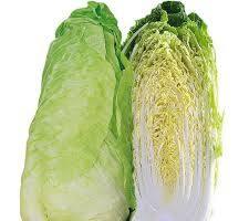 [2200000767101] Chicorée Pain de Sucre