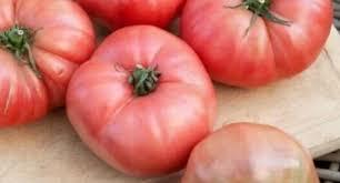 [2200000768801] Tomate Rose de Berne