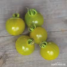 [2200000769105] Kerstomaat Green Doctor