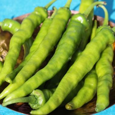 [2200000770002] Poivron Fushimi