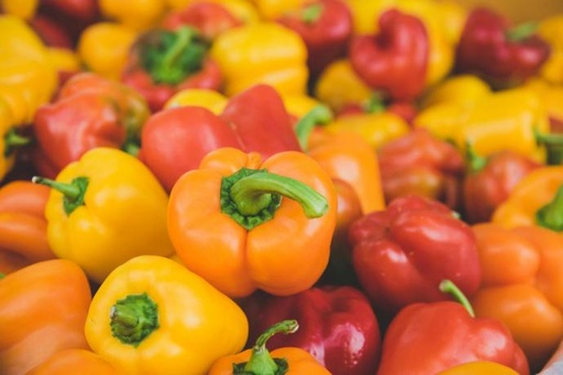 [2200000770507] Poivron Mix Variété